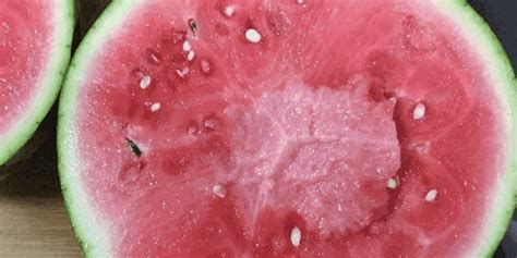 一般我们吃的零食西瓜子,是夏天常吃的西瓜里的籽吗?蚂蚁庄园今日答案|一般|我们-360GAME-川北在线