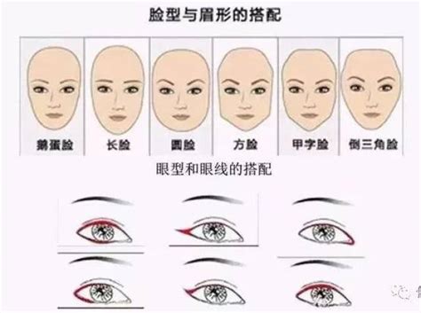 杏仁眼图片
