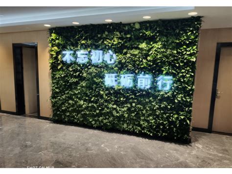 虹口区立体植物墙哪家好 欢迎来电「上海简慕园林绿化工程供应」 - 水专家B2B