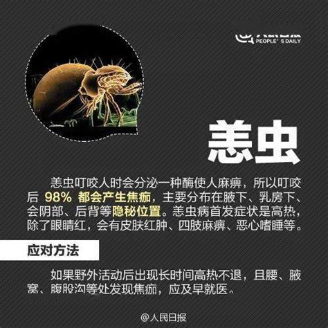 中国八大最毒的毒虫：蜈蚣排第五，蚰蜒排第一(2)_巴拉排行榜