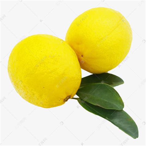 两个柠檬高清图片下载_红动中国
