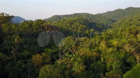 热带雨林的树木，云的诞生视频素材_ID:VCG42N860895948-VCG.COM