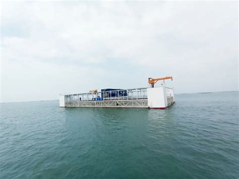 湛江市首个海上养殖平台正式落户流沙港并投入使用-雷州市人民政府网站