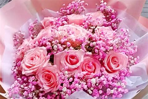 33朵粉玫瑰粉色满天星的花束图片，33朵粉玫瑰粉色满天星代表什么意思？-六朵花