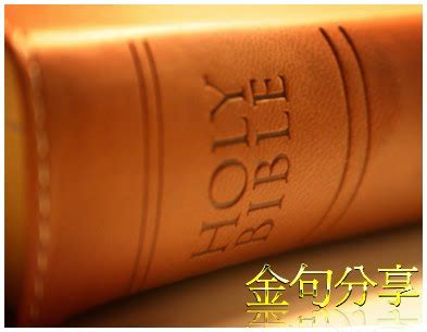 圣经（基督教）-天主教的《圣经》与基督教的《圣经》的区别