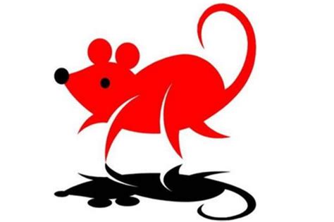 属鼠人2013流年运势逐月分析 属鼠人今日运势-周易算命网