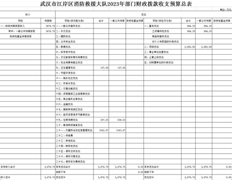 武汉市江岸区消防救援大队2023年预算公开-江岸区人民政府门户网站