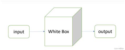 白盒测试方法_白盒测试的方式_进击的雷神的博客-CSDN博客