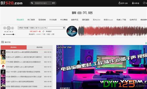 丰顺DJ网站模板免费下载 - 模板王