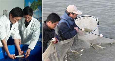 水产养殖研究室-中国水产科学研究院淡水渔业研究中心
