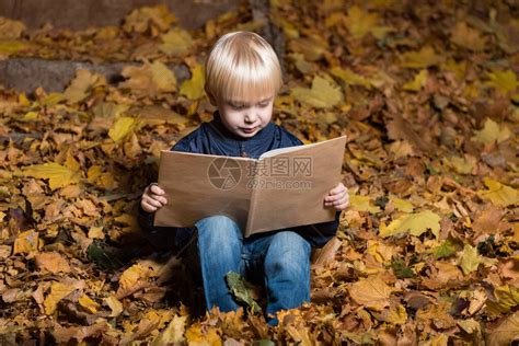 金发男孩在秋天的森林里坐在落叶上看书肖像高清图片下载-正版图片504575135-摄图网