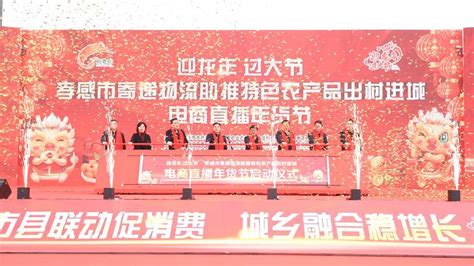 湖北孝感中国农民丰收节、农村电商节在应城举行_县域经济网
