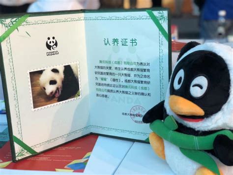 一年卖150亿，熊猫快餐panda express成功的秘诀是啥？ _ Linkedcare领健