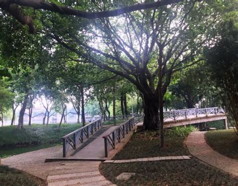 2023北滘公园游玩攻略,北滘公园有环公园绿道，很多...【去哪儿攻略】
