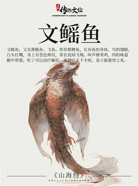 戴娜斯诺布露娃 的图像结果