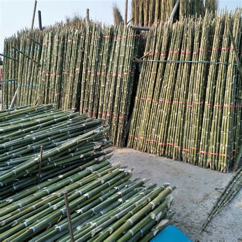 竹子的常用9大 设计手法