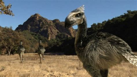 《国家地理》史前掠食动物：恐鸟