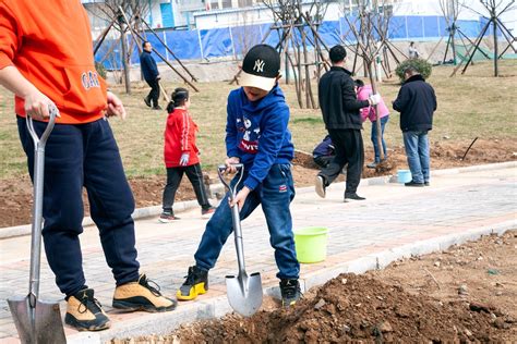 2021年第43个植树节-韩仓河小缤果家庭植树日 - 海报新闻