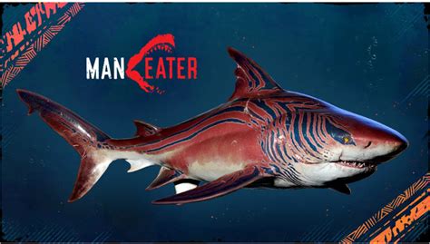 如何评价游戏《食人鲨》（Maneater）？ - 知乎