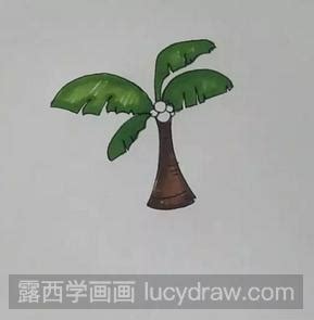儿童画教程：教你画椰子树-露西学画画