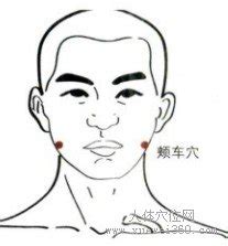 颊车的准确位置图图片