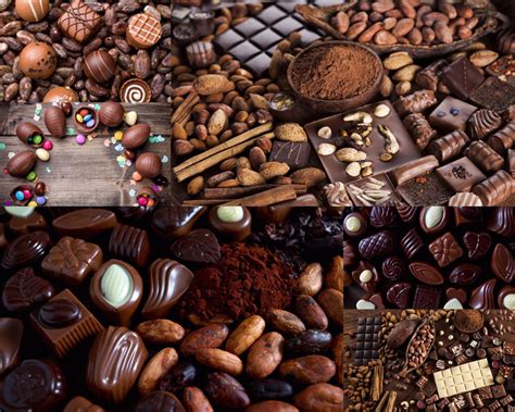 在法国学巧克力是一种什么样的体验？ - 知乎