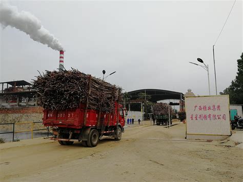 广西来宾前首富：为还4亿欠款 他造了一座毒品加工厂-蓝鲸财经