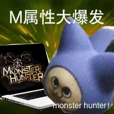 呆猫表情包图片