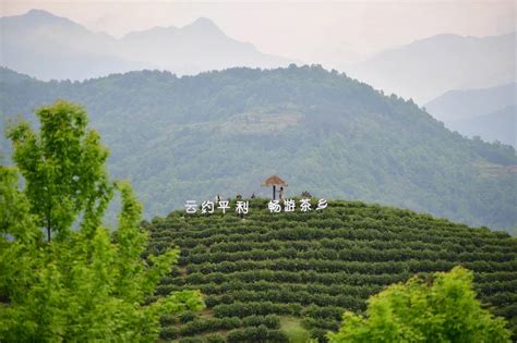 夏季避暑茶旅线路：陕西平利-古茶之源·安康秦汉古茶美丽乡村游