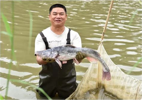 十大名鱼宴、旅游美食地图…今日九江这场活动超好玩！_澎湃号·政务_澎湃新闻-The Paper