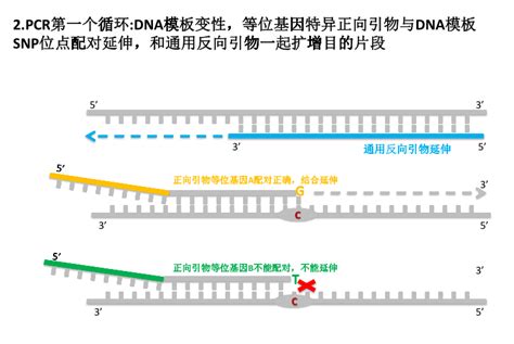 《自然·通讯》| 多种基因测序平台联合解析人类基因组结构变异，有效提高检测效率 – 测序中国