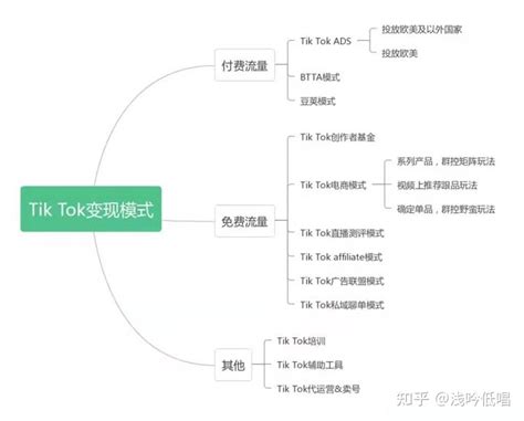 解锁 TikTok 海外营销策略，打造独立站流量新高峰-易赛诺网站建设