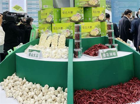 中国农业外经外贸信息网：贸促中心副主任吕向东参加2021山东（安丘）出口农产品博览会