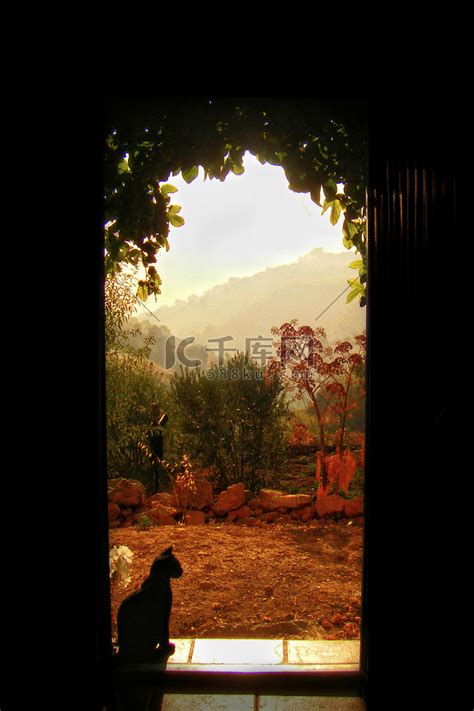 猫在门口高清摄影大图-千库网