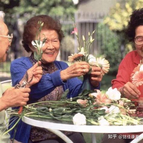 《2021年中国当代不婚主义白皮书》发布：每4个单身有1个可能是不婚_我苏网