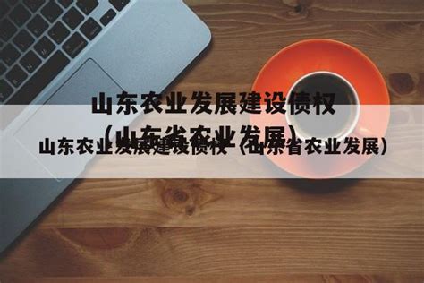 山东农业发展建设债权（山东省农业发展）-城投定融网