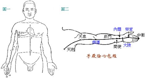 心包经穴位图图片