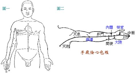 中医的经络学说 - 知乎