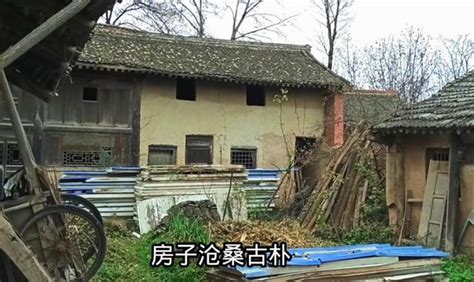 村庄拆迁工厂偷倒 300年古香樟树遭遇垃圾围城-偷倒,垃圾-义乌新闻