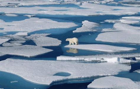 全球变暖导致的冰川融化高清图片下载-正版图片600912625-摄图网