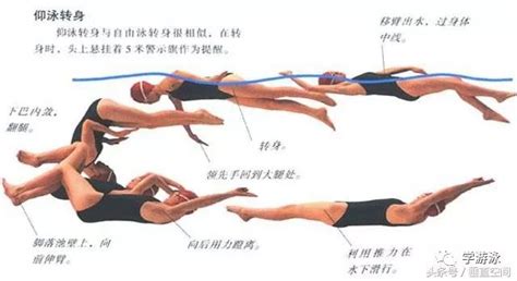 游泳技巧图解图片