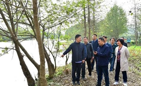 咸宁大洲湖生态建设示范区项目湿地公园及环湖绿道设计 - 设计类 - 园冶杯国际竞赛组委会 - Powered by Discuz!