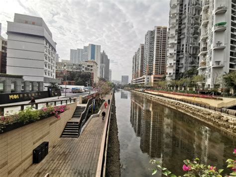 罗湖区2018年城市更新第一批计划公布_深圳新闻网