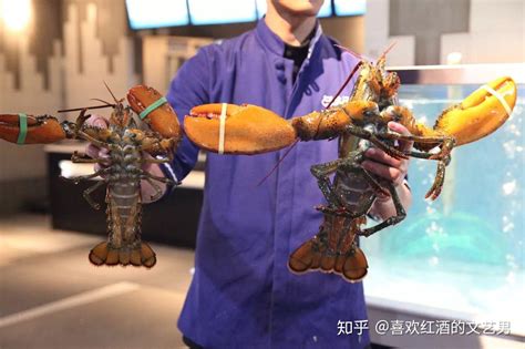 奥龙虾图片巨型,巨型龙虾图片,巨型龙虾王图片(第10页)_大山谷图库