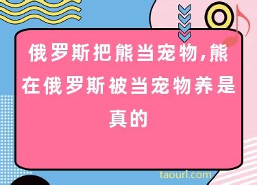 狐狸能不能当做宠物养呢？我们先了解一下狐狸_动物