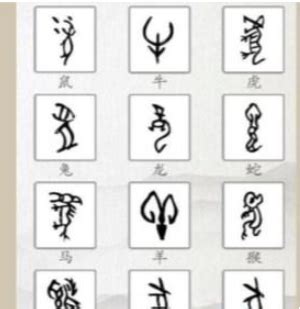 甲骨文字十二生肖图片