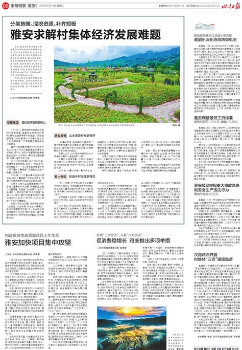 雅安雨城区2023年端午龙舟节促消费活动启幕--四川经济日报