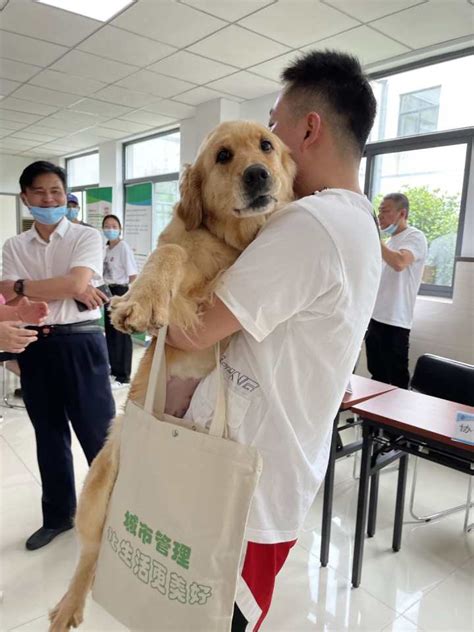 1个多月大可爱漂亮狗狗免费领养-宠物讨论区-杭州19楼