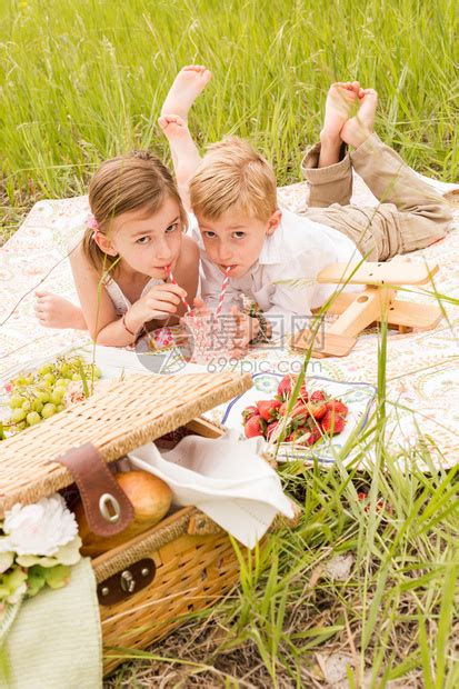 家庭夏季在乡下野餐兄弟和姐高清图片下载-正版图片507145193-摄图网