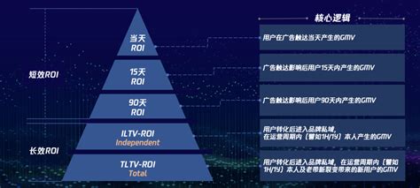 roi计算公式（广告投放roi怎么计算） - 派优网